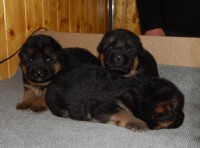 /album/a20-days/stence-e-vrh-070-jpg/